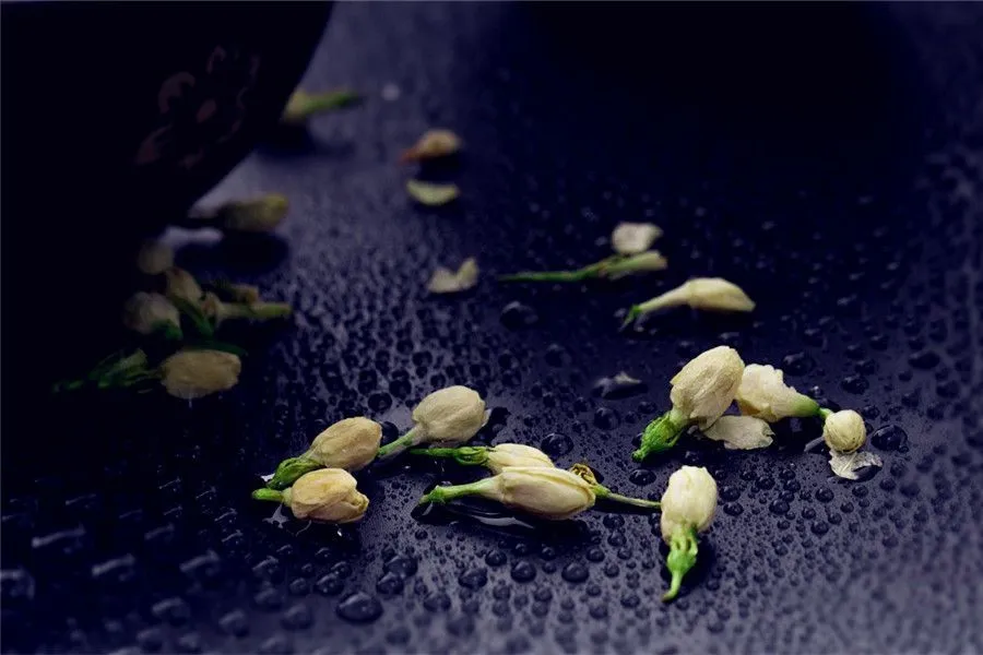 Jasmine Flower and Jasmine Tea - The spread of Jasmine Tea