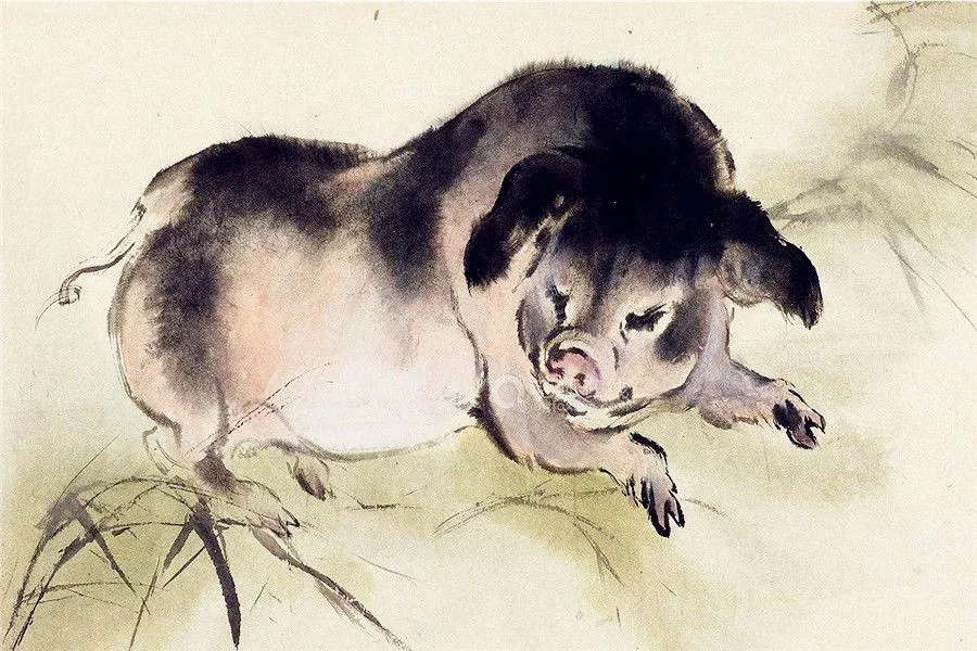 pig