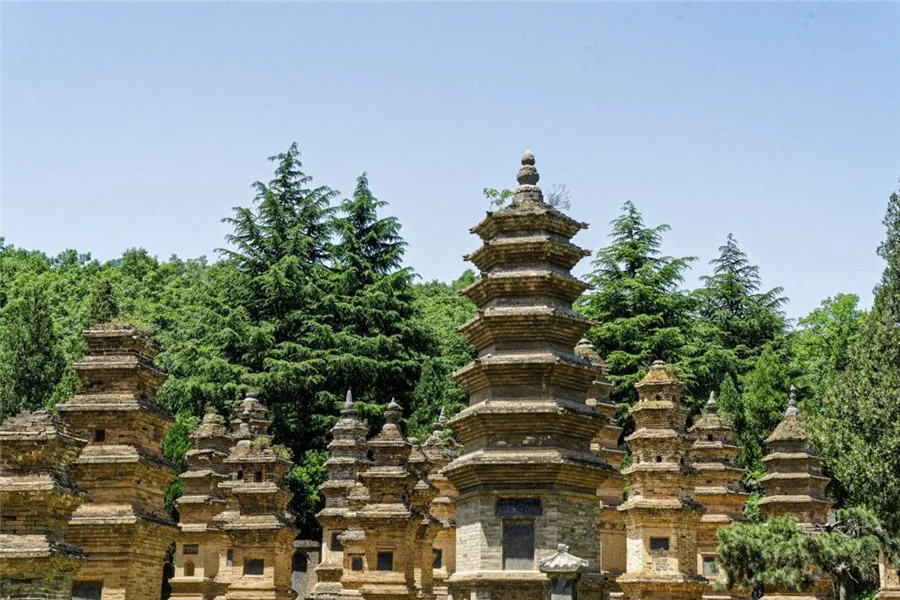 Shaolin Temple and Shaolin Kung Fu - Pagoda Forest 