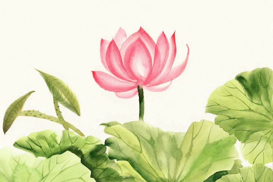 The Eight Immortals+Hello+He Xiangu's power tool—a Lotus Flower