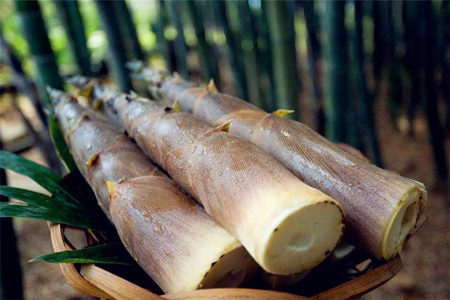 Jiangxi Cuisine - The Fresh raw materials