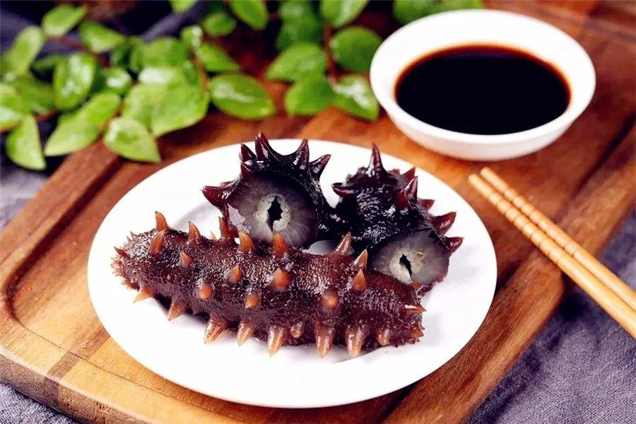 Sea cucumber and Feng Ze Yuan Restaurant - Concluding Remarks