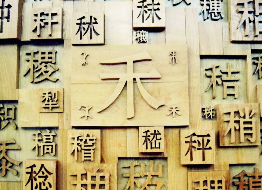 The Square Form of Chinese Characters