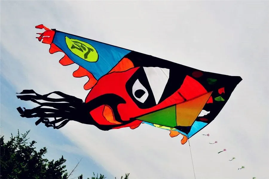 Traditional Handicrafts and Folk Arts - Kites