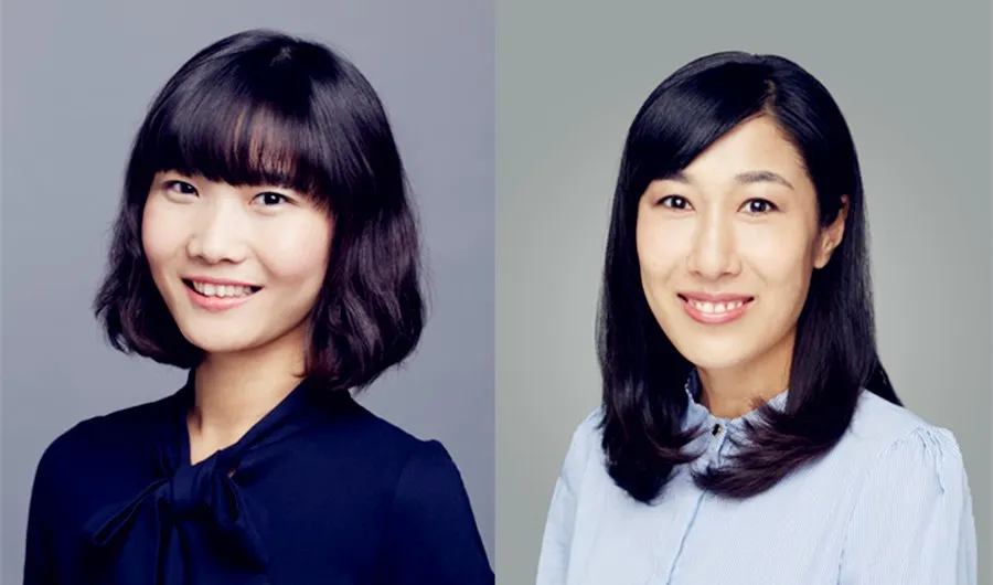 professional Chinese teachers