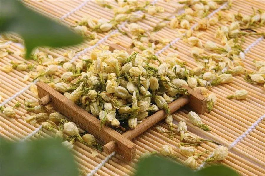 Jasmine Flower and Jasmine Tea  7