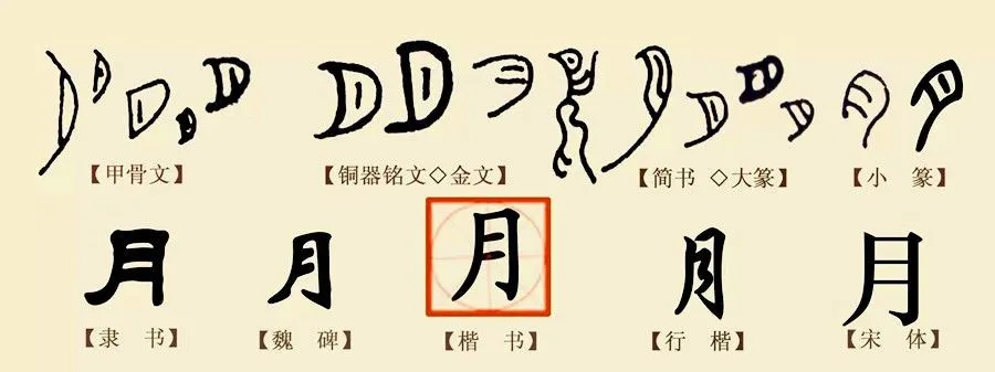 Chinese Characters are the Fundamental Structural Units of the Chinese Language