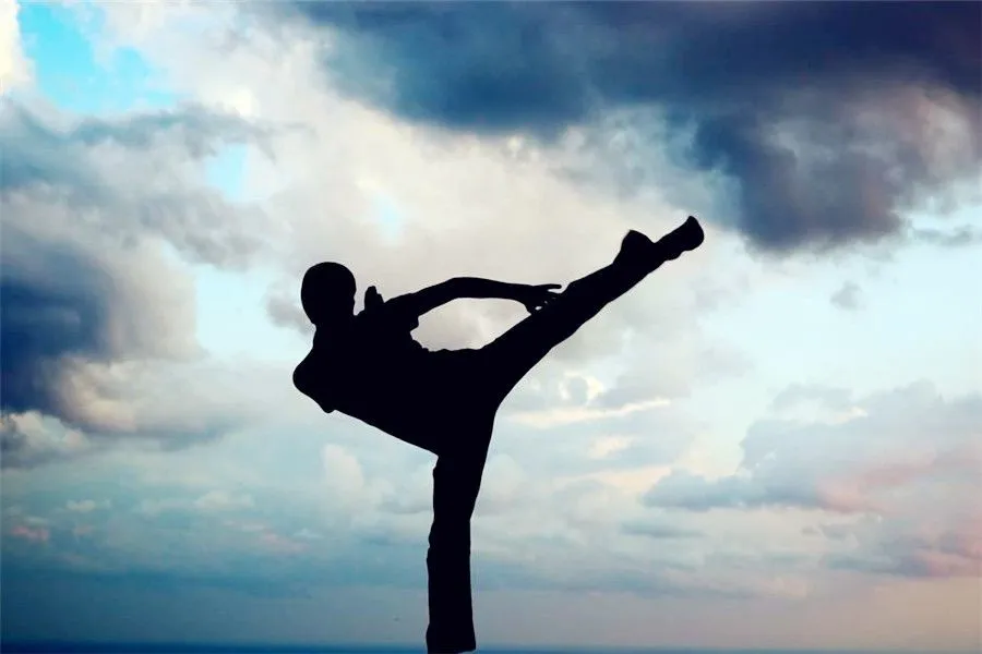 Chinese Kungfu - Closing Remarks