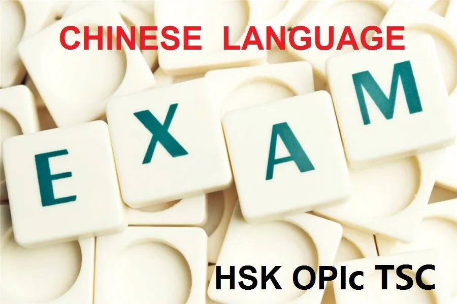 Chinese language exam