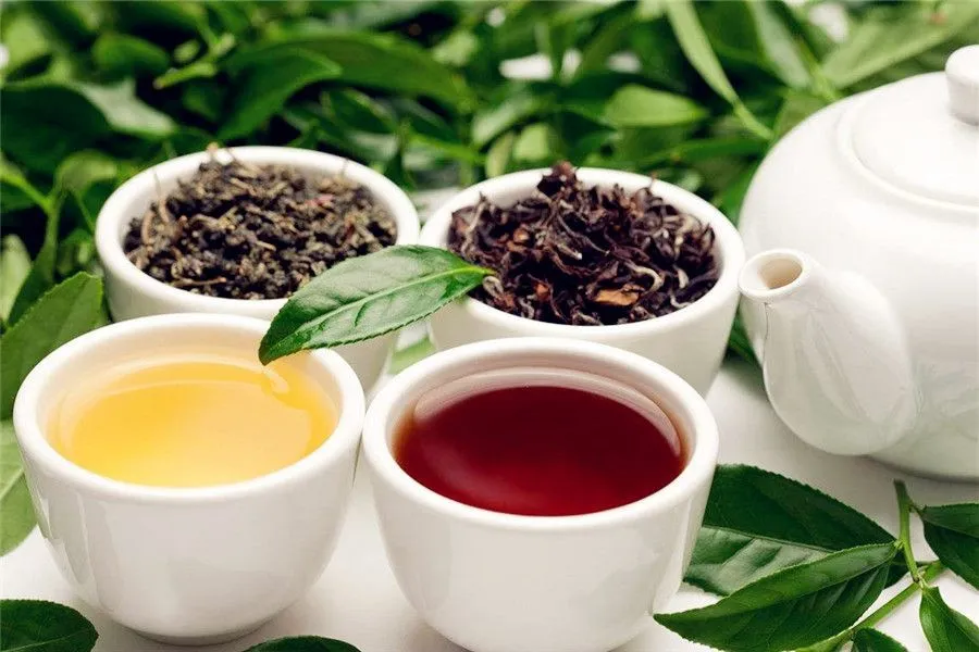 Chinese tea making - Tang and Song Dynasty