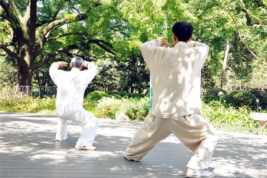 Classification of Chinese Kungfu