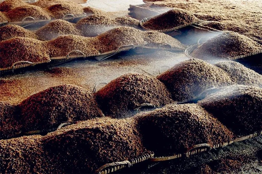 Du Kang and the Invention of Chinese Wine 2