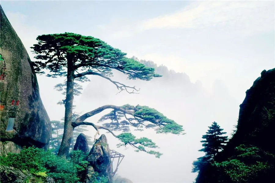 Five Mountains - mount hua - steep