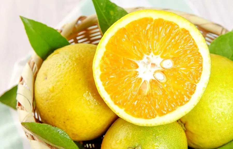 Hubei Cuisine+Hello+Formation and Characteristics of Hubei Cuisine