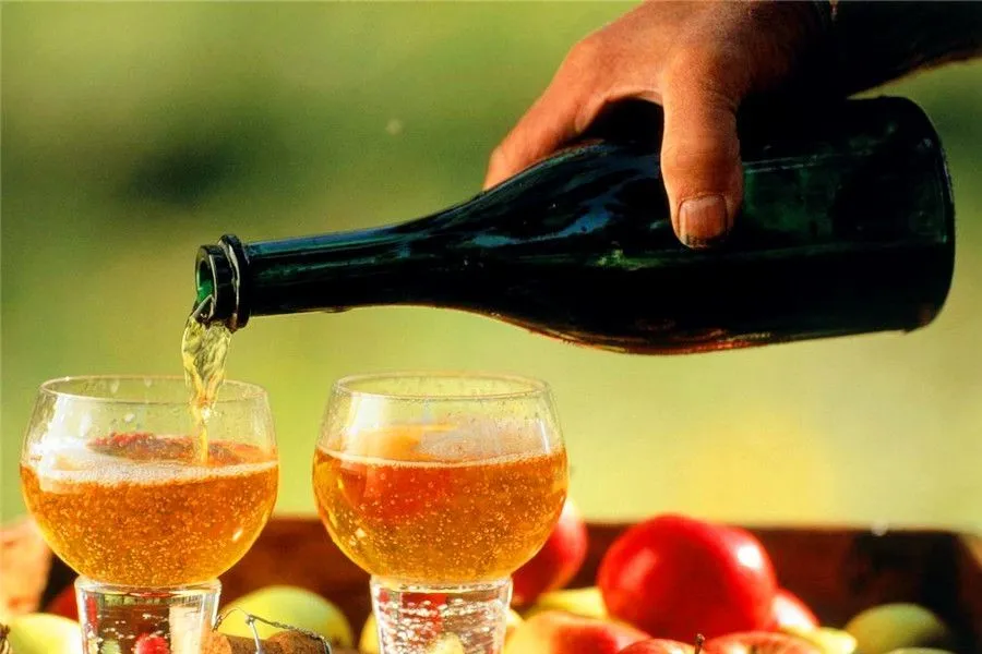 Inner Mongolian Cuisine - Wild Fruit Wine