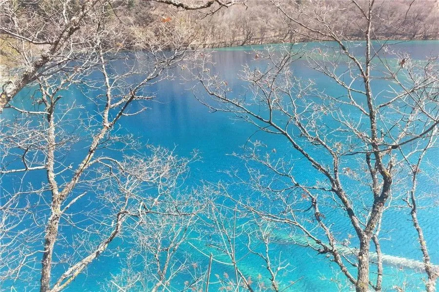 Jiuzhaigou - Lying Dragon Lake