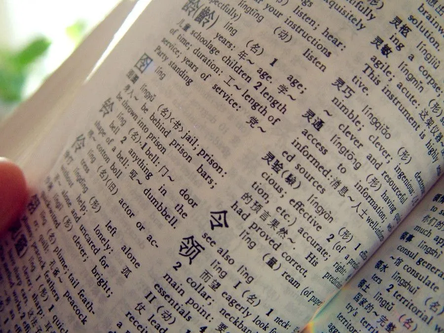 Sentence Components and Word Order