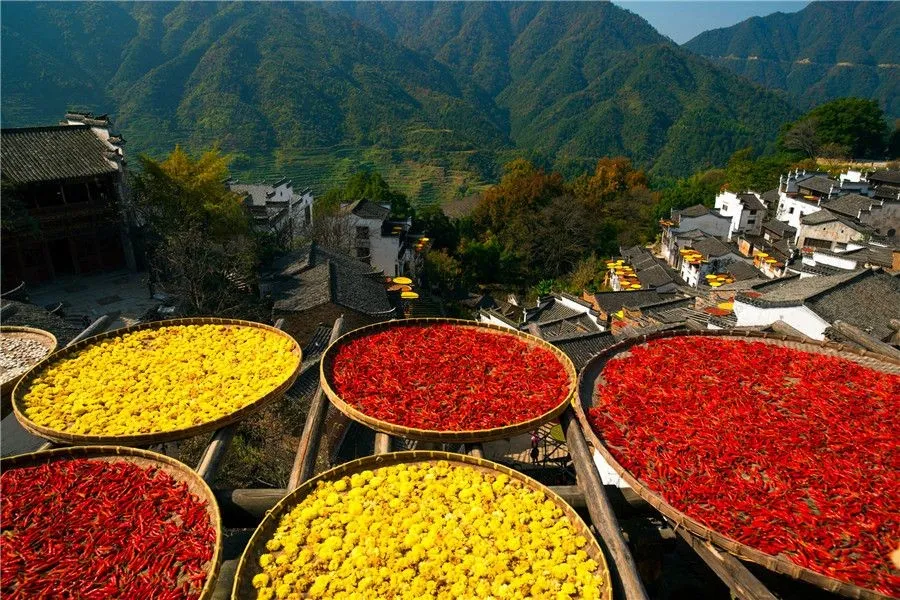 Sichuan cuisine - essence of Sichuan cuisine