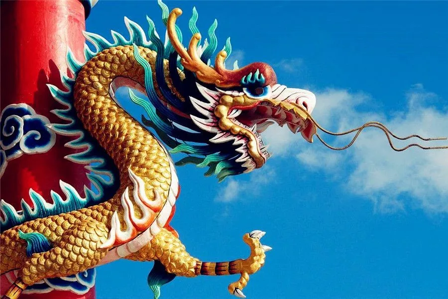 The Evolution of Chinese Dragon