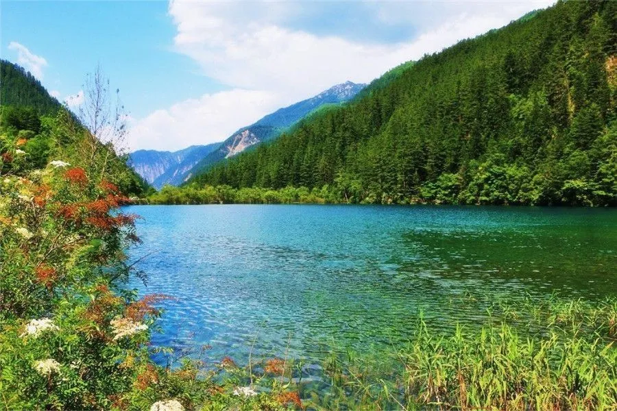 jiuzhaigou - the Rhinoceros Lake