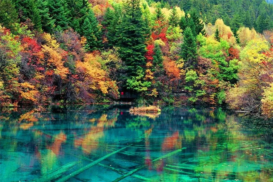jiuzhaigou-Five Coloured Pool