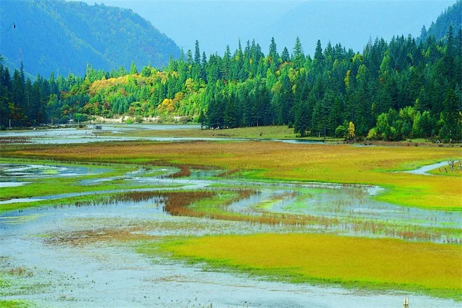 jiuzhaigou the Grass Lake