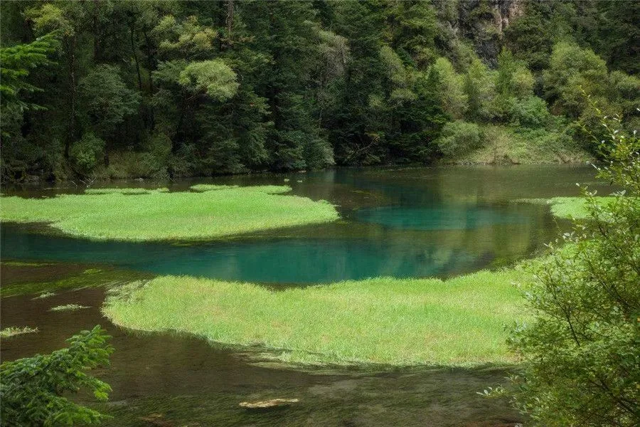 jiuzhaigou-the Swan Lake