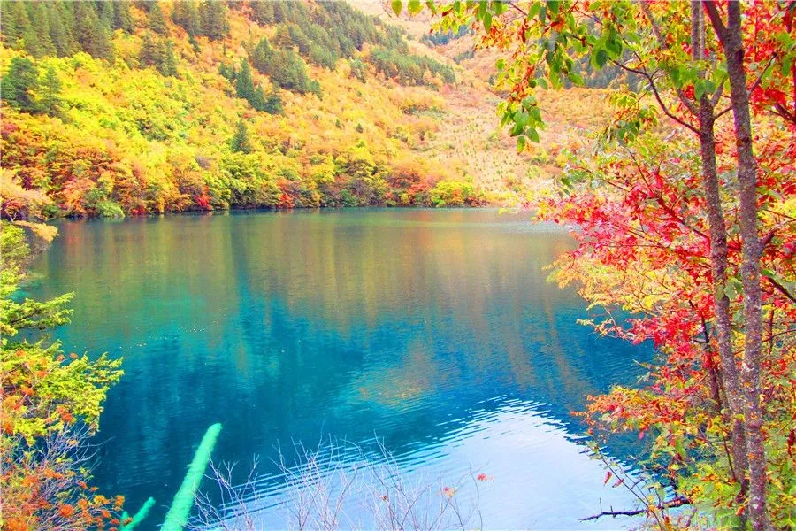 jiuzhaigou the five flower lake