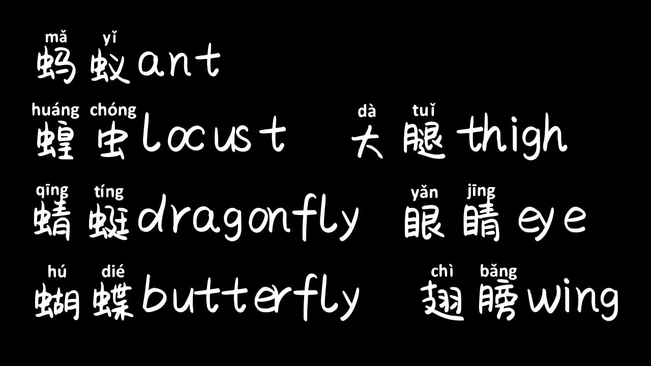 A catchy song-《蚂蚁蚂蚁》 - Cchatty