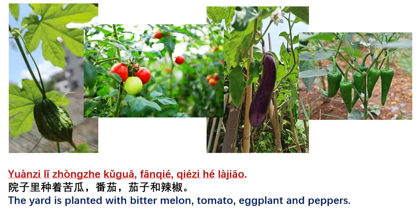 常回家看看 Cháng huí jiā kàn kàn Visit home frequently - Cchatty