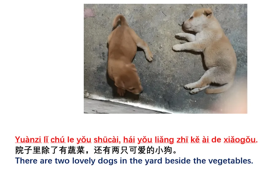 常回家看看 Cháng huí jiā kàn kàn Visit home frequently - Cchatty