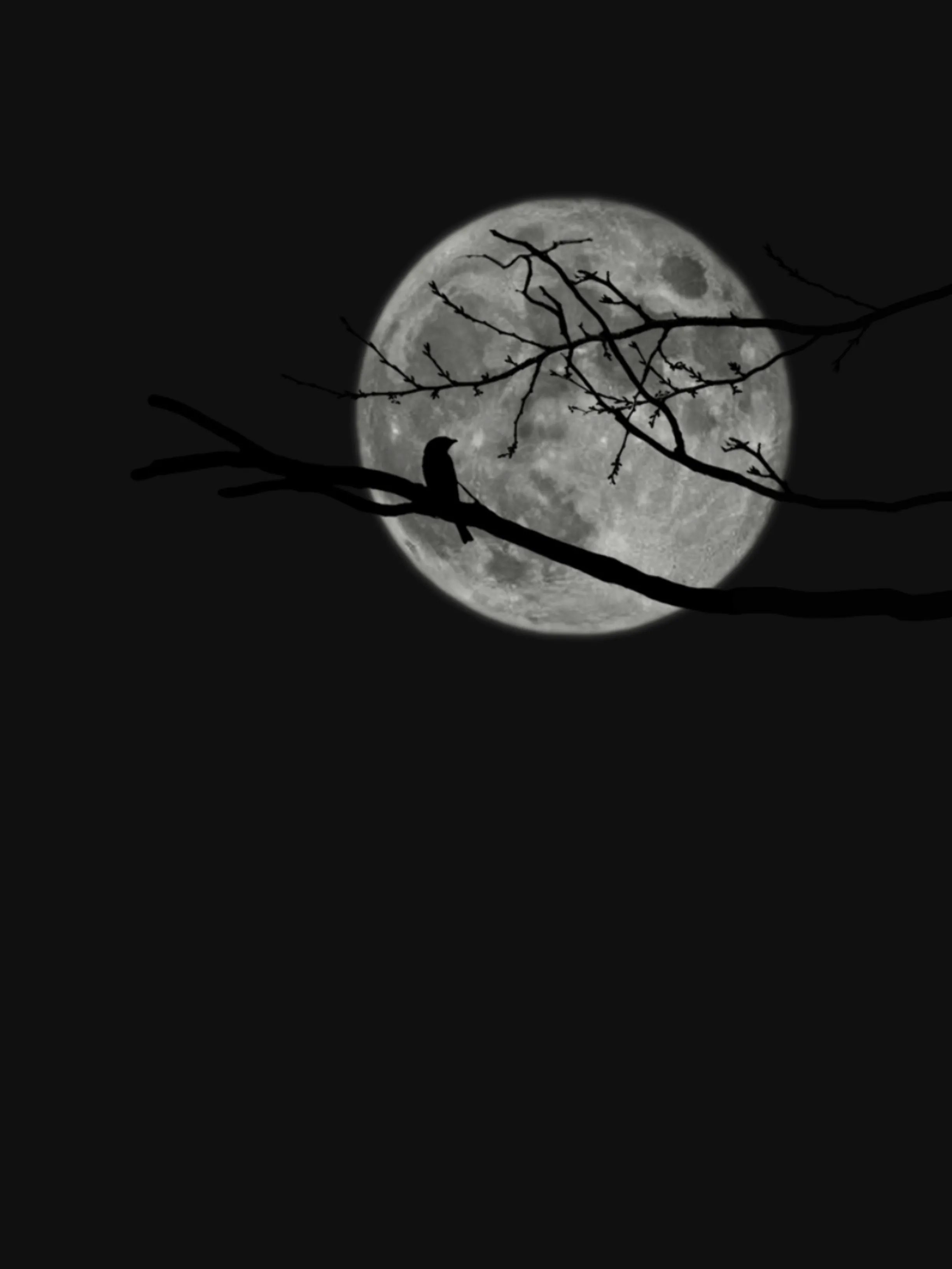 月是故乡明 - Cchatty