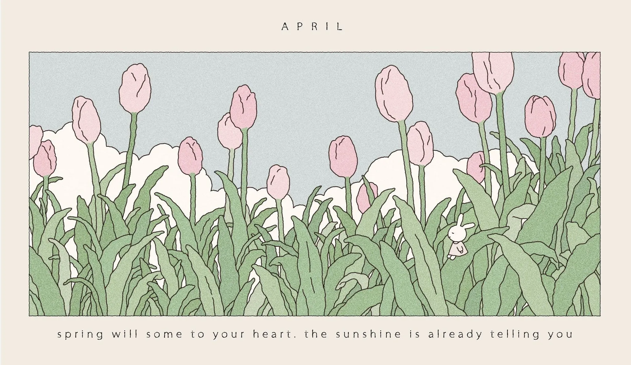 来中国留学 - Cchatty