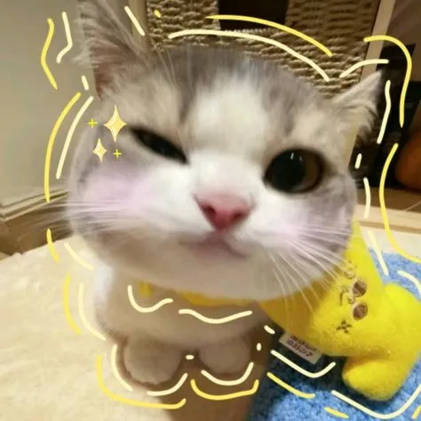 Lesson 1: 你好你们 - Cchatty