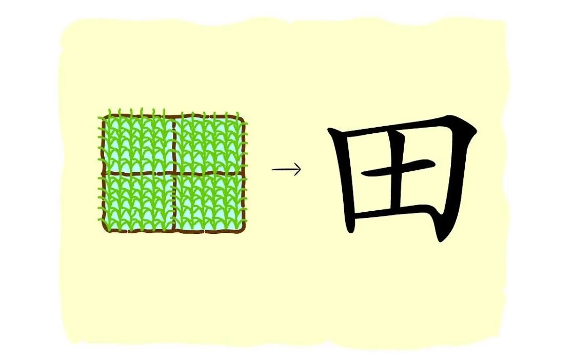 Master the Five-Stroke Chinese Character 田 - Cchatty
