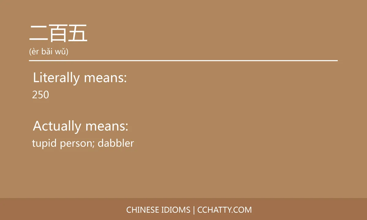 二百五 - Chinese Idiom - Cchatty