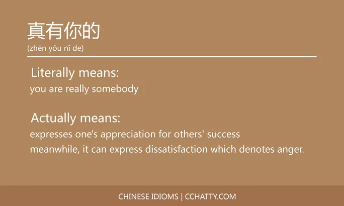 真有（你）的 - Chinese Idiom - Cchatty
