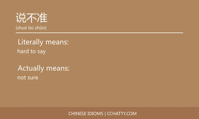 说不准 - Chinese Idiom - Cchatty