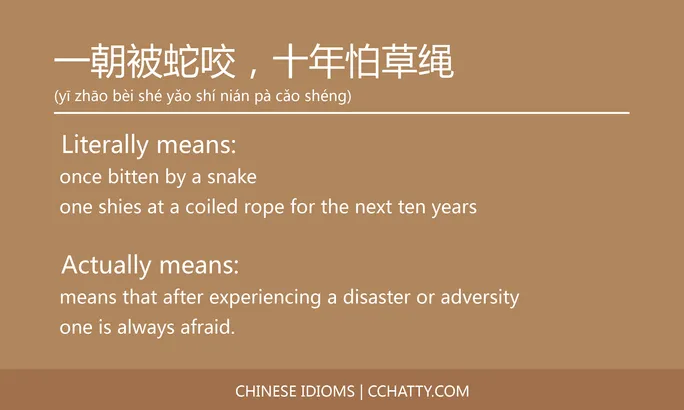 https://i.cchatty2.com/filters:format(webp)/fit-in/684x0/img/202102/一朝被蛇咬十年怕草绳-Chinese-idioms-Cchatty-049d1d37-4add-4f8a-be0c-2d870e52a23c-1612776100.jpg