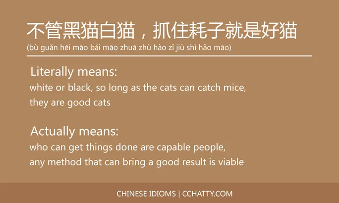 https://i.cchatty2.com/filters:format(webp)/fit-in/684x0/img/202102/不管黑猫白猫抓住耗子就是好猫-Chinese-idioms-Cchatty-2dc5ea85-12cf-48b5-9e0a-22051f161922-1612776257.jpg