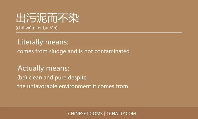 https://i.cchatty2.com/filters:format(webp)/fit-in/684x0/img/202102/出污泥而不染-Chinese-idioms-Cchatty-1f13b77b-07ee-4e75-89a8-2e827cf20541-1612776501.jpg