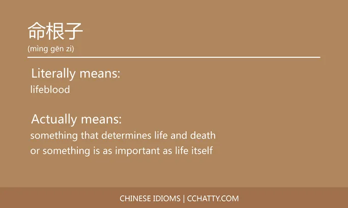 https://i.cchatty2.com/filters:format(webp)/fit-in/684x0/img/202102/命根子-Chinese-idioms-Cchatty-fd723fcc-c076-4f9d-9100-822a611b6951-1612776721.jpg