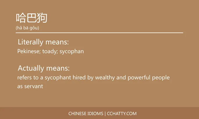 https://i.cchatty2.com/filters:format(webp)/fit-in/684x0/img/202102/哈巴狗-Chinese-idioms-Cchatty-7d5ed9a3-f421-4a2d-94eb-a2f18a8a20cc-1612776732.jpg