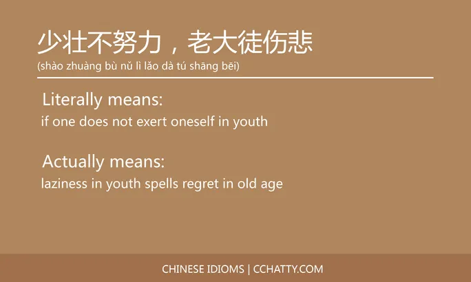 少壮不努力，老大徒伤悲- Chinese Idiom - Cchatty