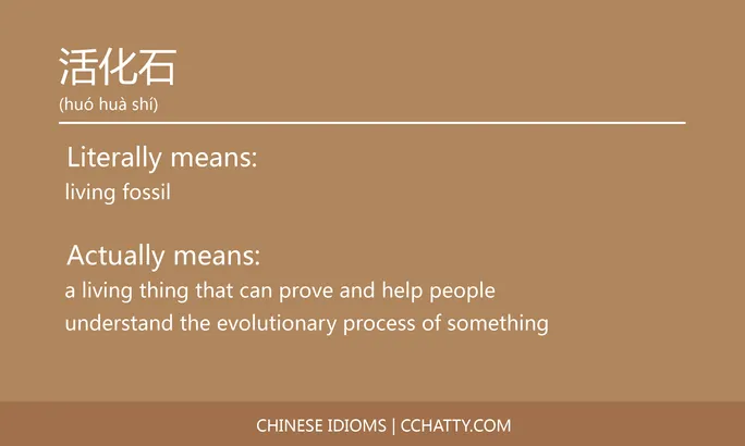 https://i.cchatty2.com/filters:format(webp)/fit-in/684x0/img/202102/活化石-Chinese-idioms-Cchatty-7fc6601d-4980-42e7-8876-50c27c193dbc-1612777631.jpg
