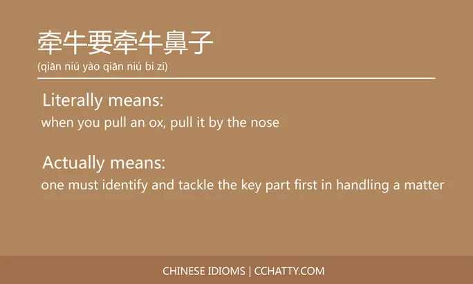 https://i.cchatty2.com/filters:format(webp)/fit-in/684x0/img/202102/牵牛要牵牛鼻子-Chinese-idioms-Cchatty-3ee07c96-b22d-4013-9d44-7832417219cf-1612777707.jpg