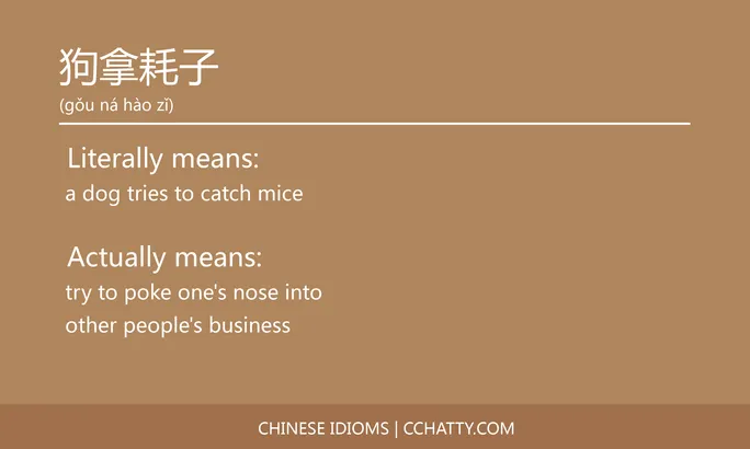 https://i.cchatty2.com/filters:format(webp)/fit-in/684x0/img/202102/狗拿耗子-Chinese-idioms-Cchatty-666c0a15-0078-44b0-b582-7384277360a5-1612777723.jpg