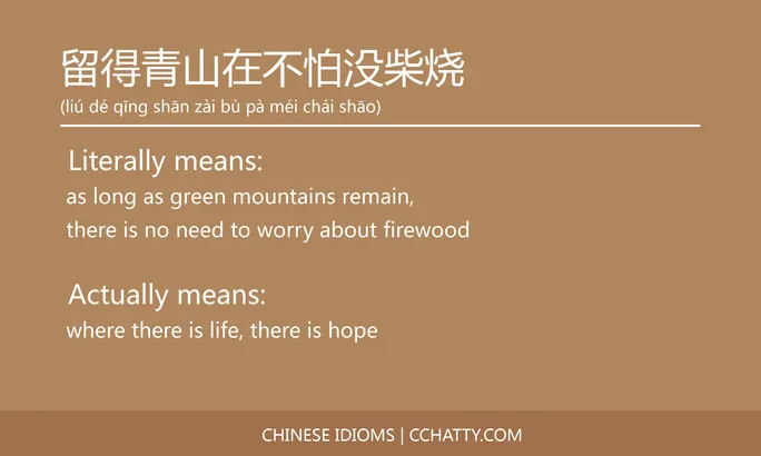 https://i.cchatty2.com/filters:format(webp)/fit-in/684x0/img/202102/留得青山在不怕没柴烧-Chinese-idioms-Cchatty-89fc8518-d4f4-4632-b065-f4bafda0aff7-1612777766.jpg