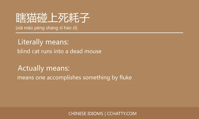https://i.cchatty2.com/filters:format(webp)/fit-in/684x0/img/202102/瞎猫碰上死耗子-Chinese-idioms-Cchatty-46f42cc6-3605-4bfd-8752-98a231e81046-1612777850.jpg