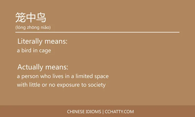 https://i.cchatty2.com/filters:format(webp)/fit-in/684x0/img/202102/笼中鸟-Chinese-idioms-Cchatty-94ce59c3-323b-45ed-96c6-d73d06ab9c50-1612777912.jpg